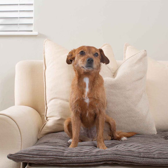 Lords and Labradors Essentials Pet Sofa Topper, product image 21