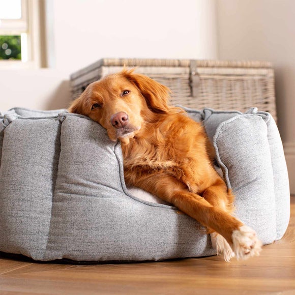 Lords and Labradors Inchmurrin High Wall Dog Bed, product image 2