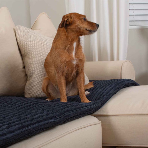 Lords and Labradors Essentials Pet Sofa Topper, product image 11