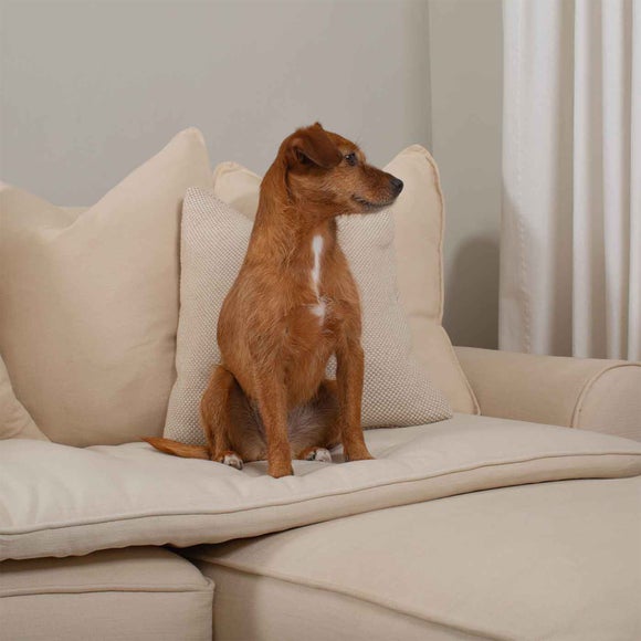 Lords and Labradors Savanna Pet Sofa Topper, product image 2