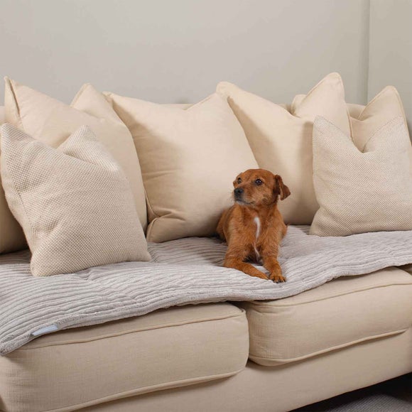 Lords and Labradors Essentials Pet Sofa Topper, product image 23