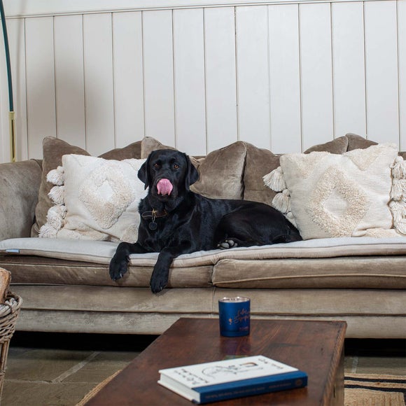 Lords and Labradors Herringbone Pet Sofa Topper, product image 5